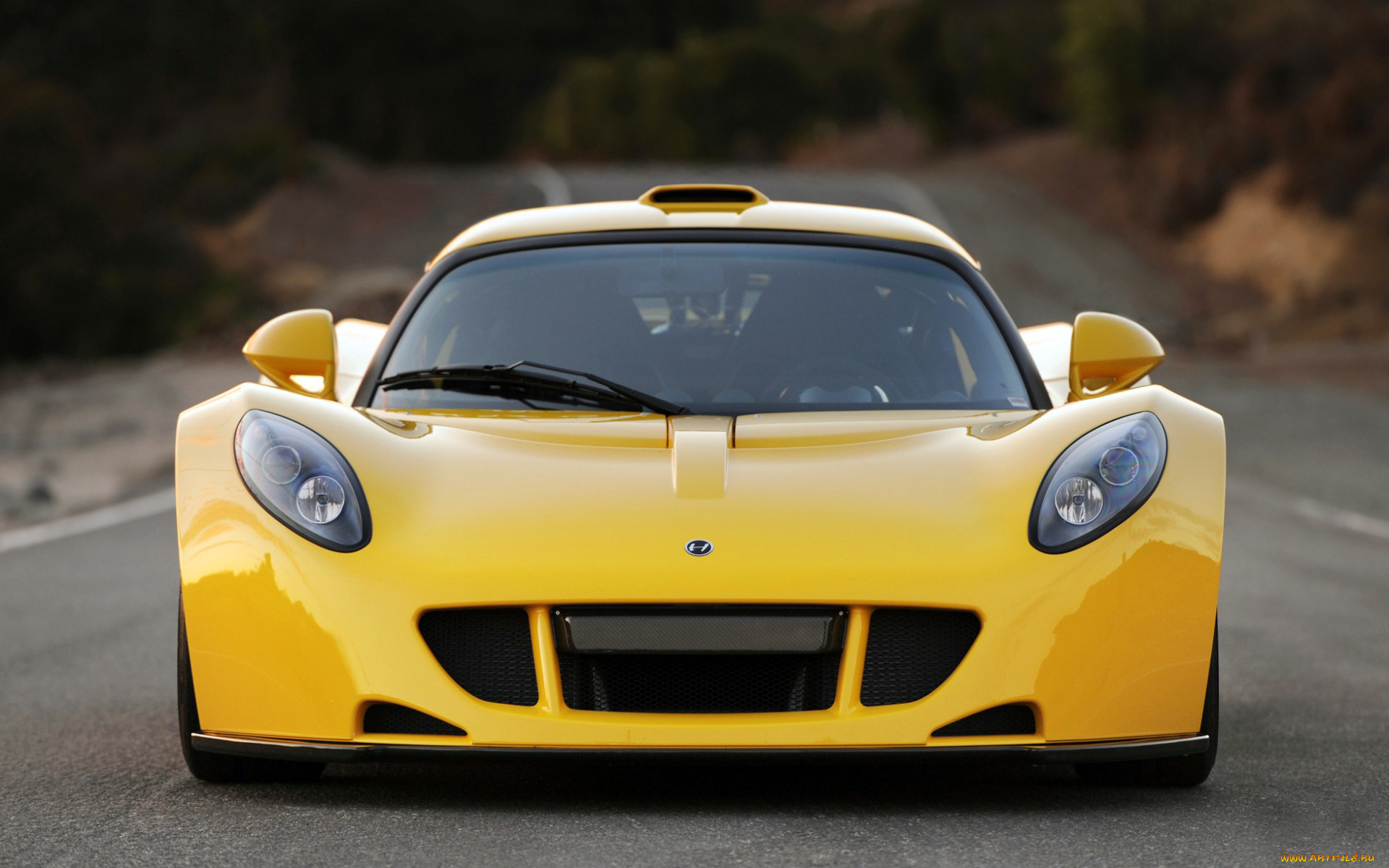 , lotus, 